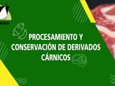 Procesamiento y Conservación de Derivados Cárnicos